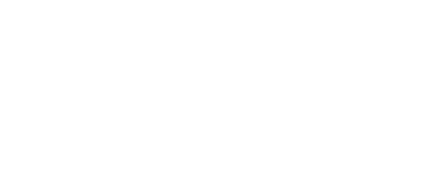 Sektorslot